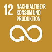 SDG icon DE 12